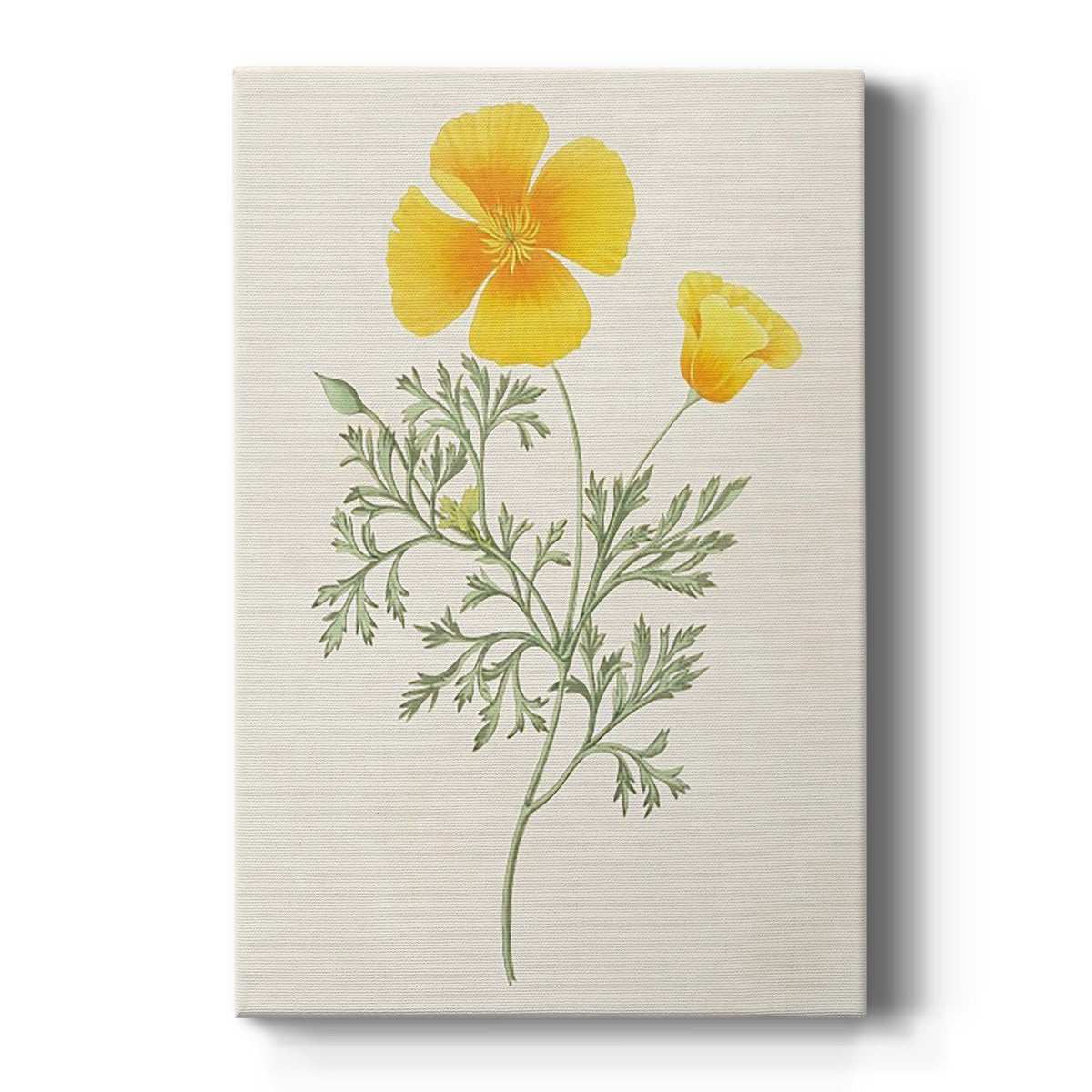 Flowers of the Seasons IX - Canvas Art Print