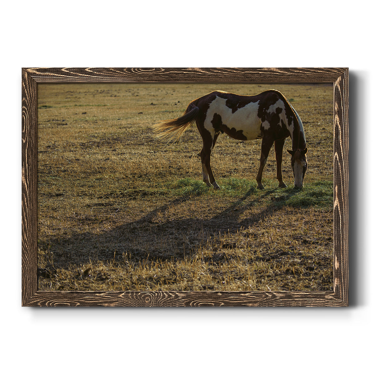 Long Shadow-Premium Framed Canvas - Ready to Hang