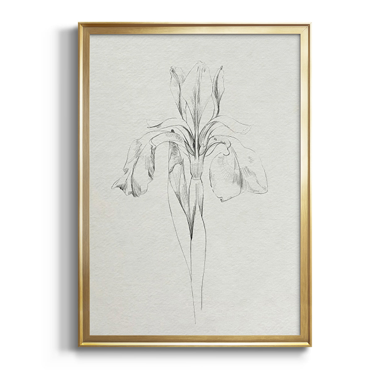 Sepia Botanical Journal I - Modern Framed Canvas Print