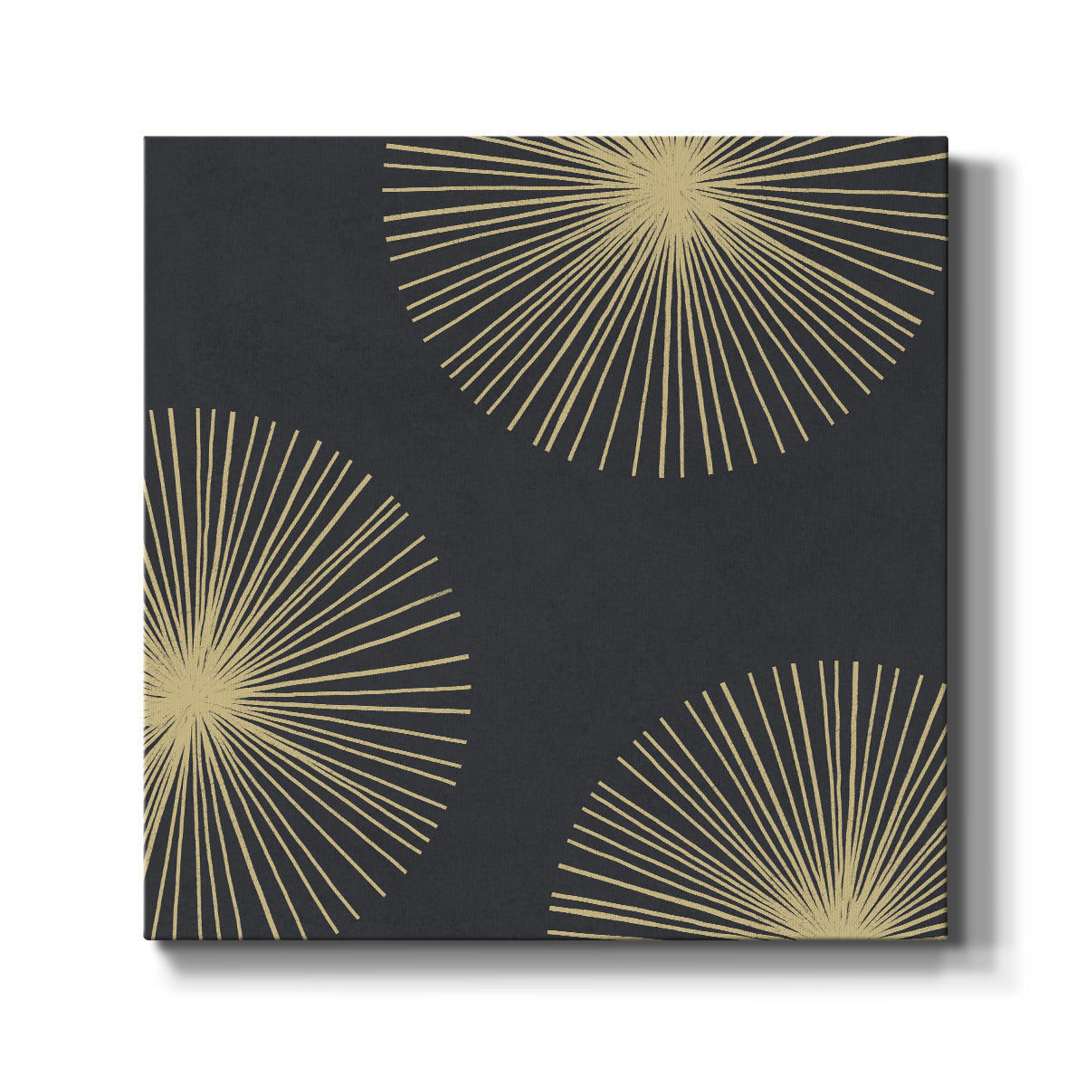 Bursts II-Premium Gallery Wrapped Canvas - Ready to Hang