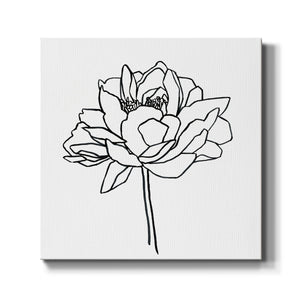 Peony Contour II-Premium Gallery Wrapped Canvas - Ready to Hang