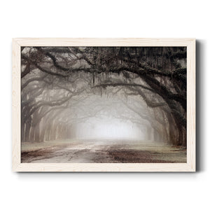 Timeless Plantation Drive-Premium Framed Canvas - Ready to Hang