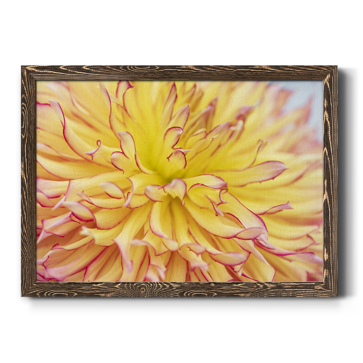 Blooms III-Premium Framed Canvas - Ready to Hang