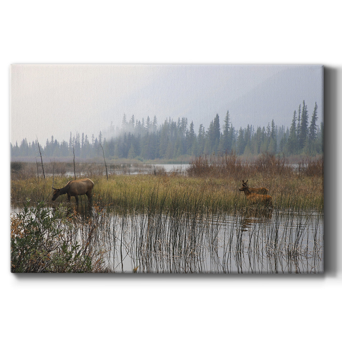 Out with the Twins Premium Gallery Wrapped Canvas - Ready to Hang