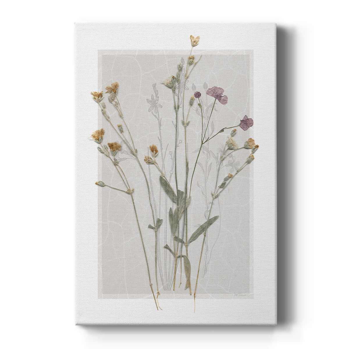 Field Study Page II Premium Gallery Wrapped Canvas - Ready to Hang