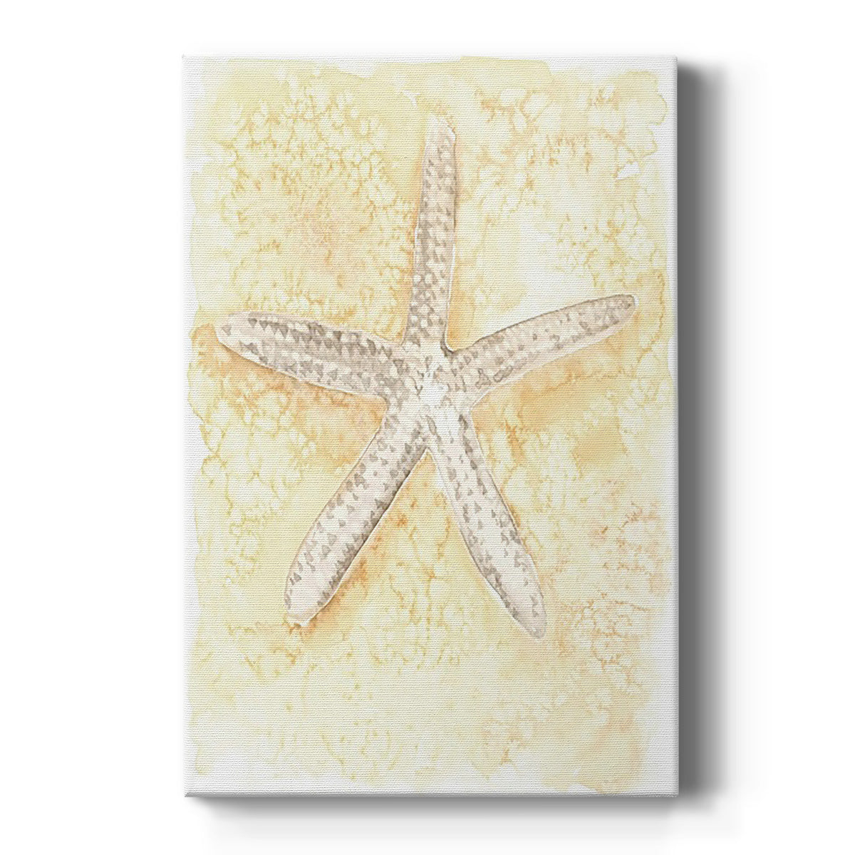 Salty Seashell I Premium Gallery Wrapped Canvas - Ready to Hang