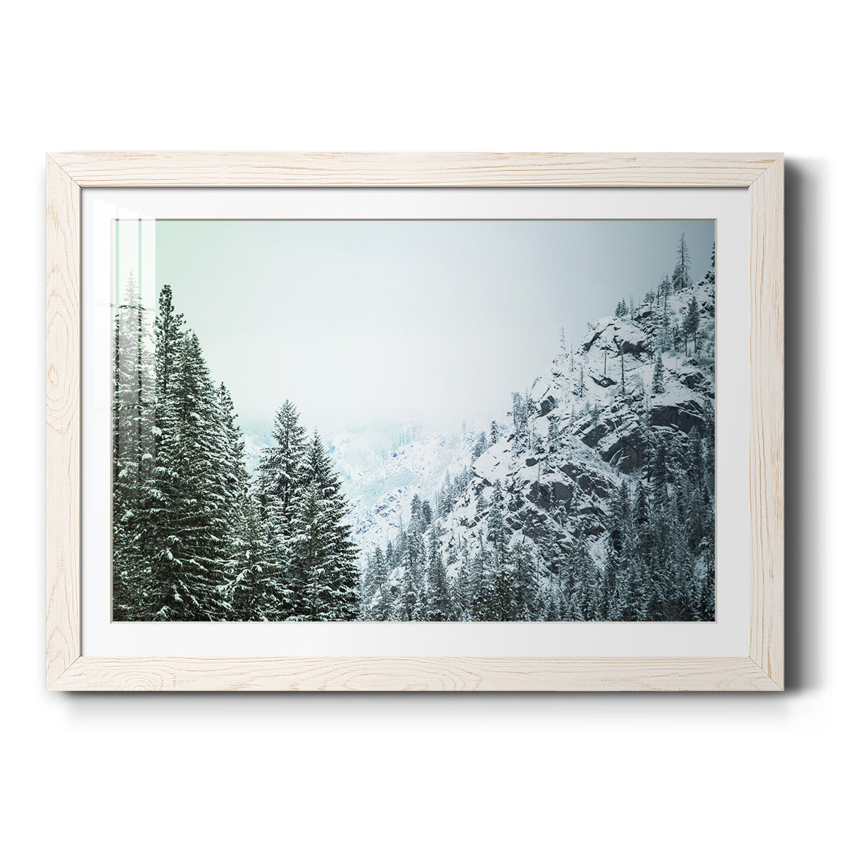 Celebrate-Premium Framed Print - Ready to Hang