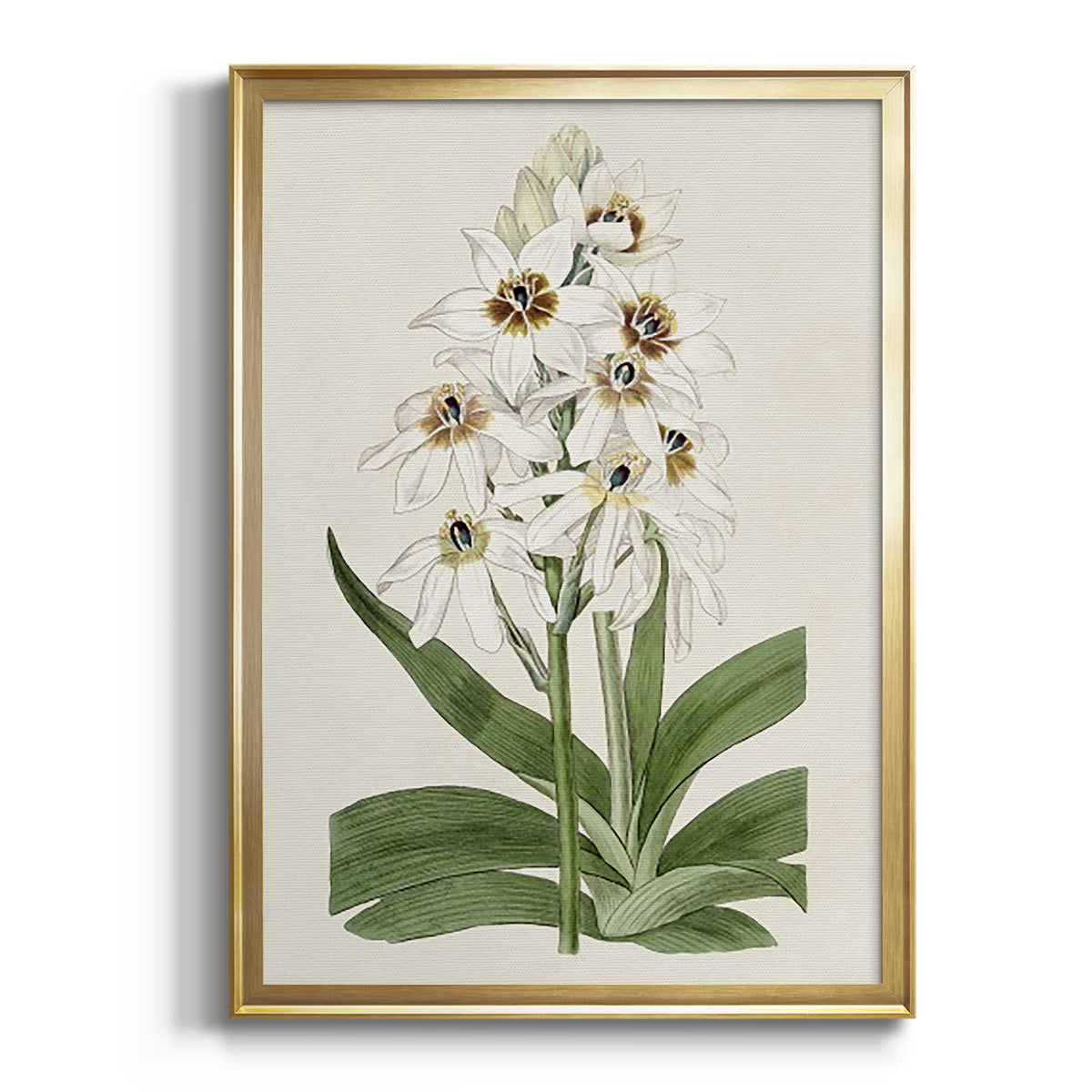 Sepia Botanical Journal I - Modern Framed Canvas Print