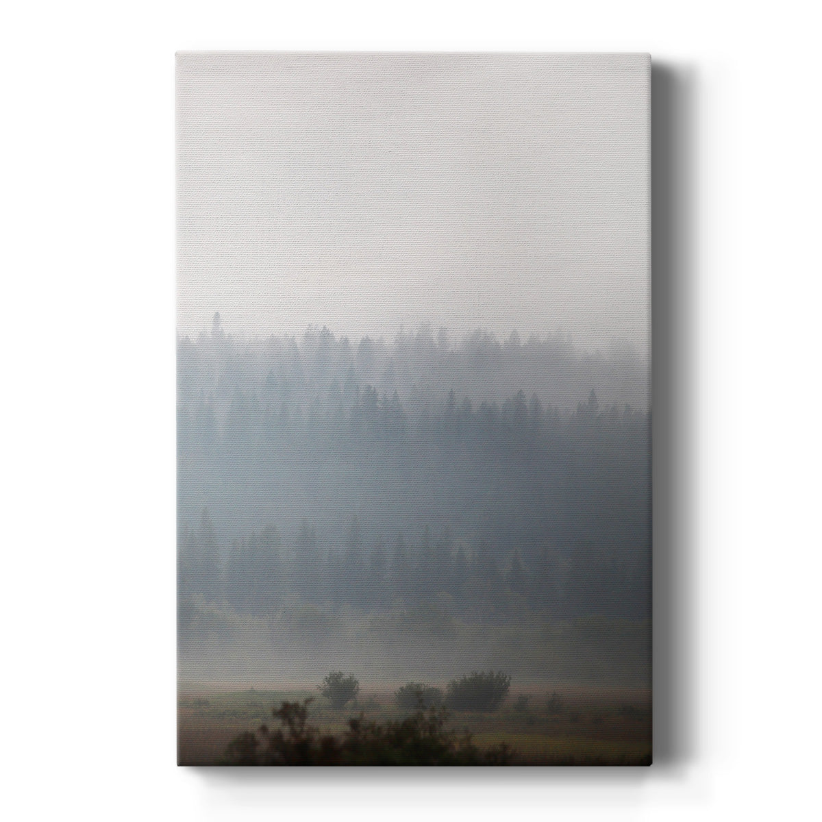 Morning Glow I Premium Gallery Wrapped Canvas - Ready to Hang