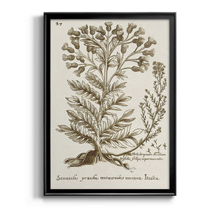 Sepia Botanical Journal I Premium Framed Print - Ready to Hang