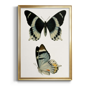 Antique Blue Butterflies I Premium Framed Print - Ready to Hang