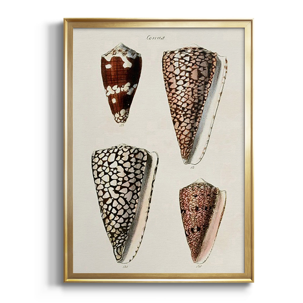 Sepia Botanical Journal I - Modern Framed Canvas Print