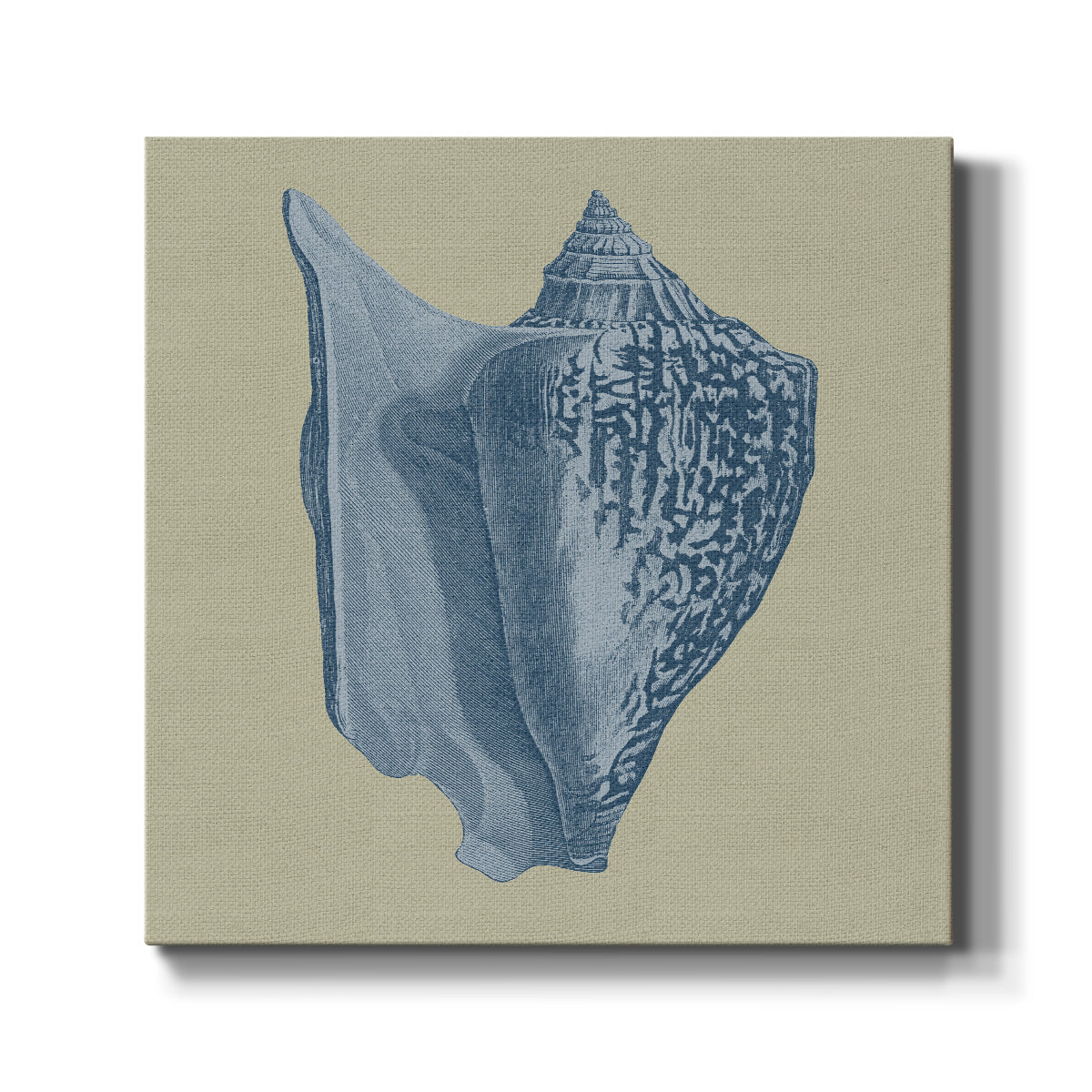 Chambray Shells I - Canvas Art Print