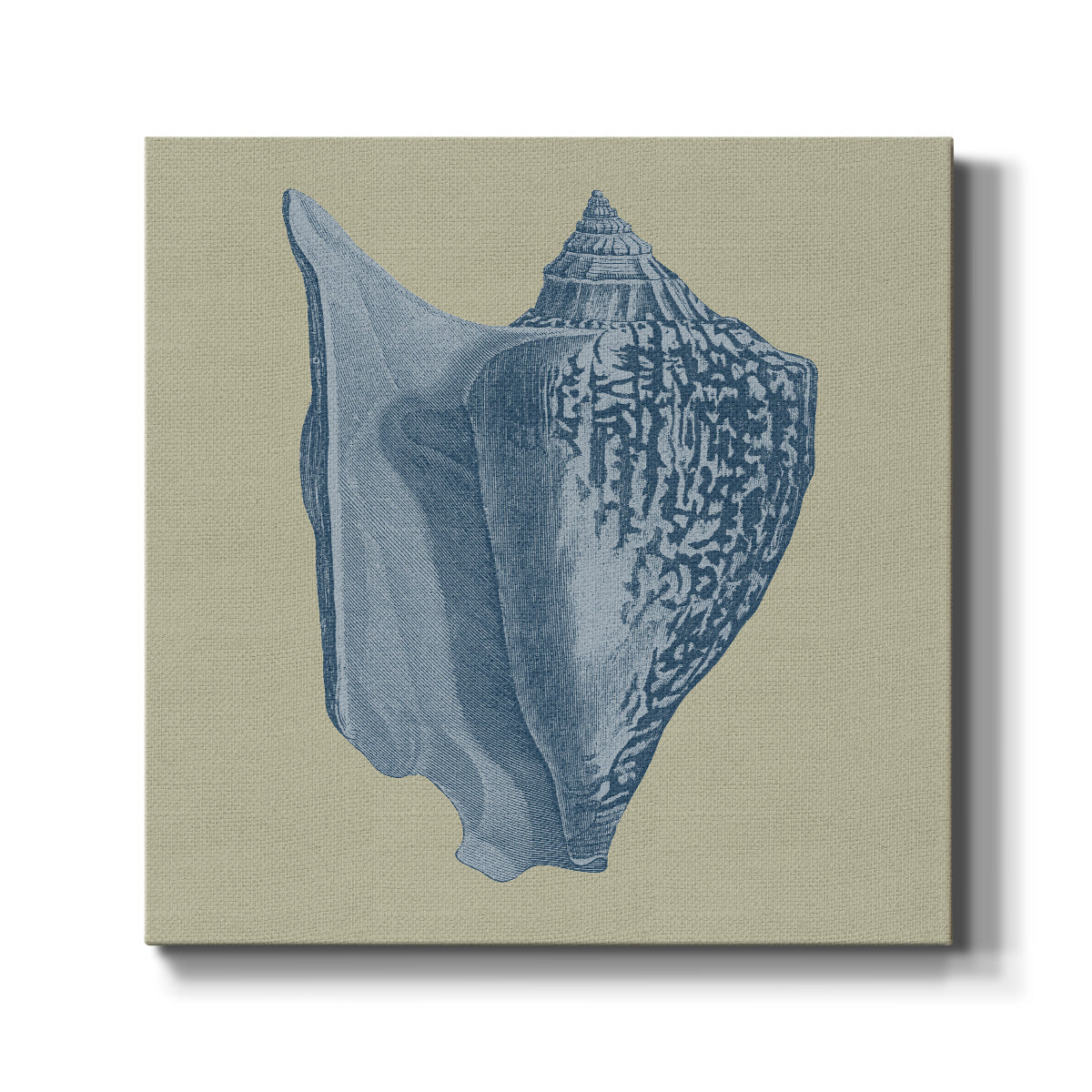 Chambray Shells I-Premium Gallery Wrapped Canvas - Ready to Hang
