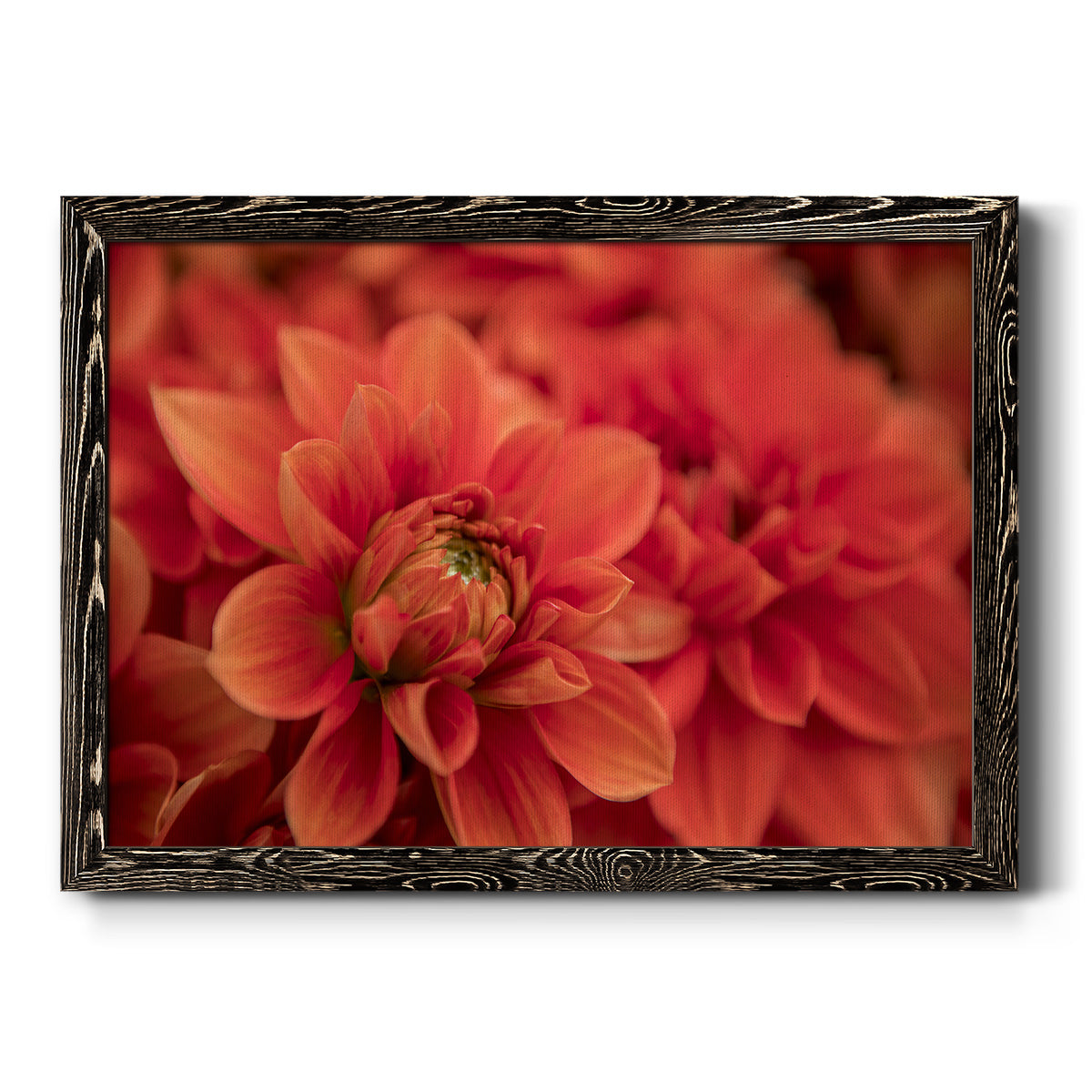 Spring Fire-Premium Framed Canvas - Ready to Hang