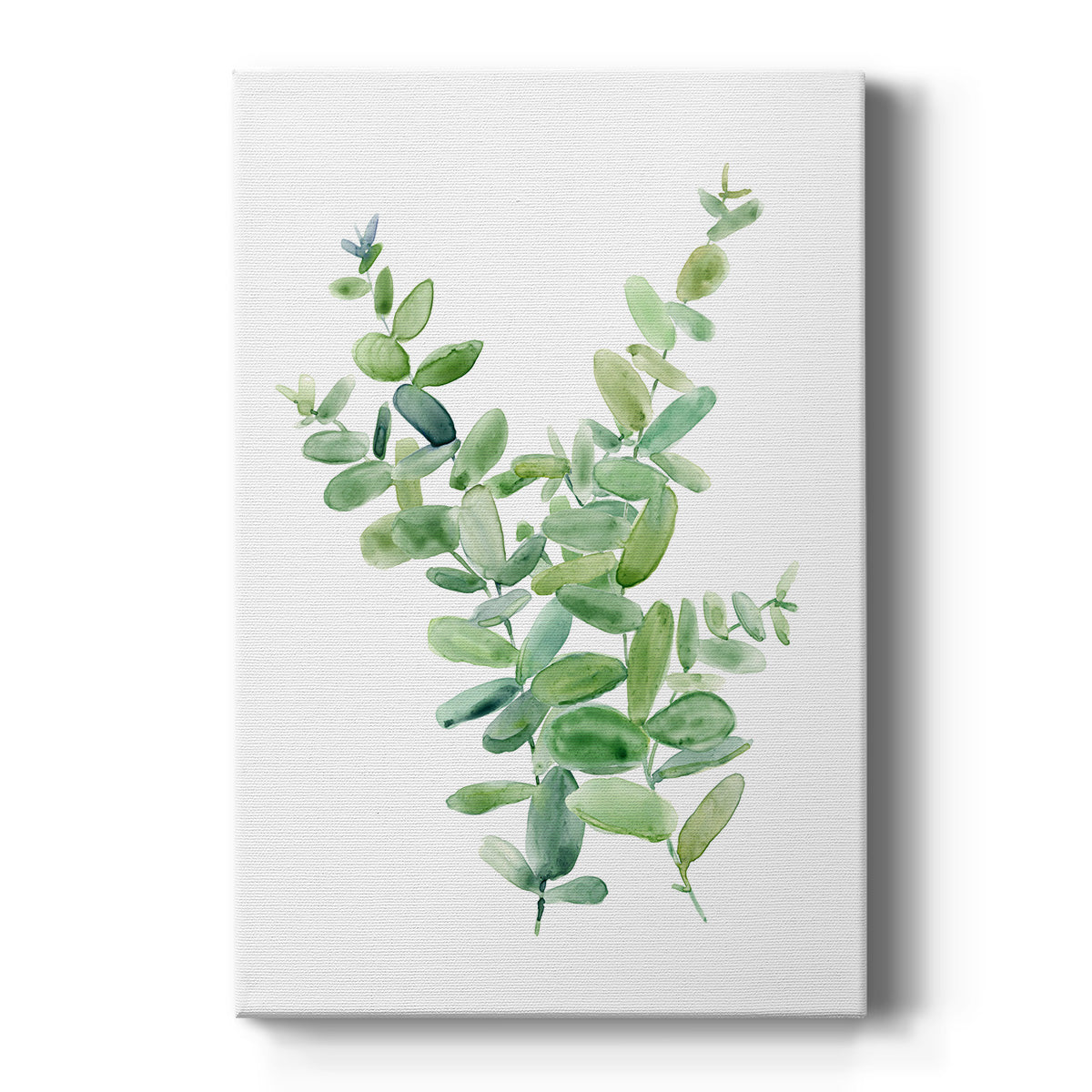 Eucalyptus III Premium Gallery Wrapped Canvas - Ready to Hang
