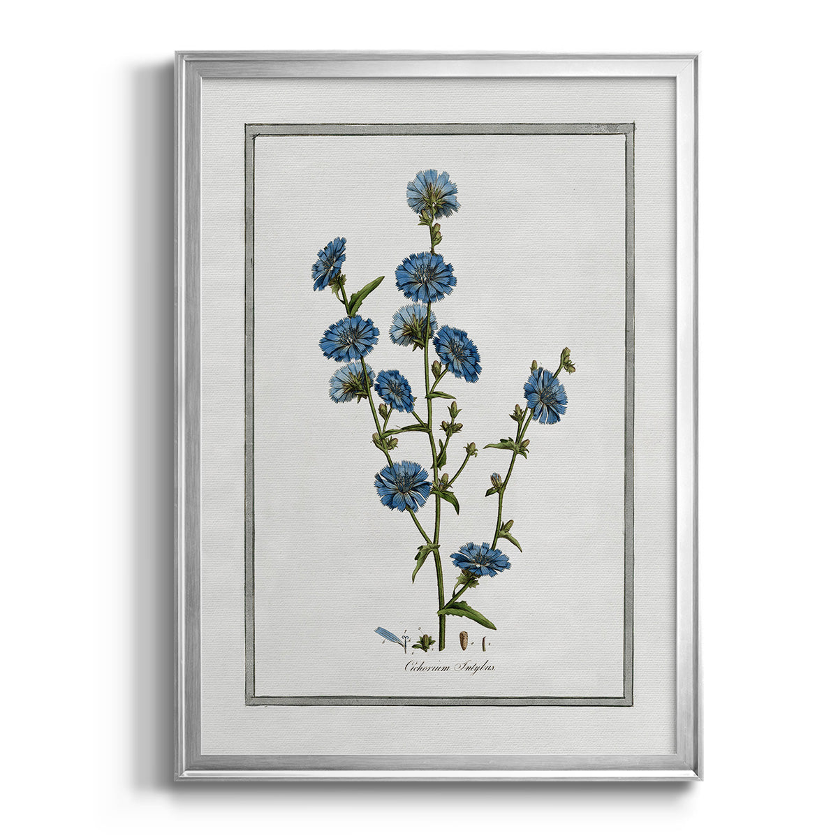 Soft Botanical I Premium Framed Print - Ready to Hang
