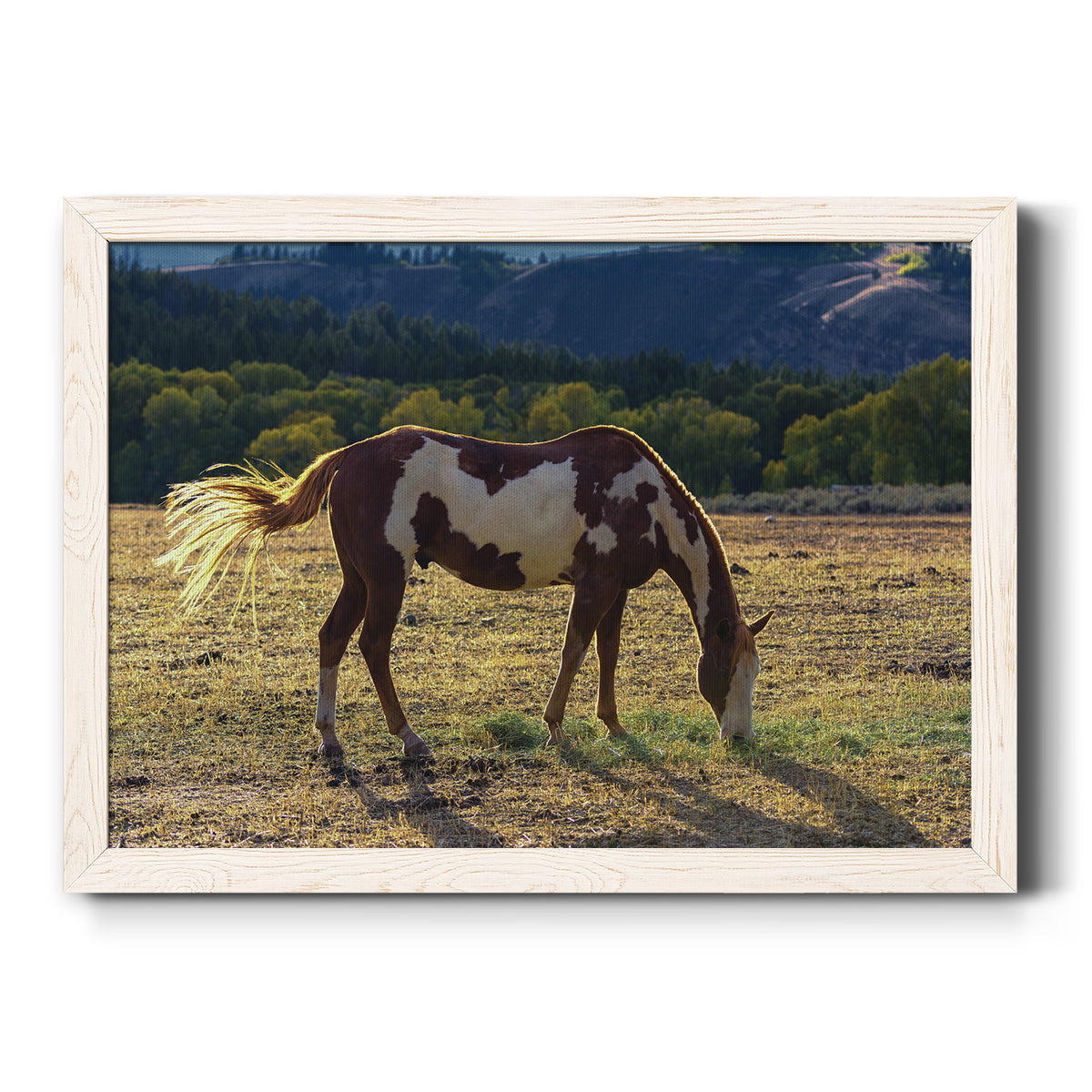 Breakfast-Premium Framed Canvas - Ready to Hang