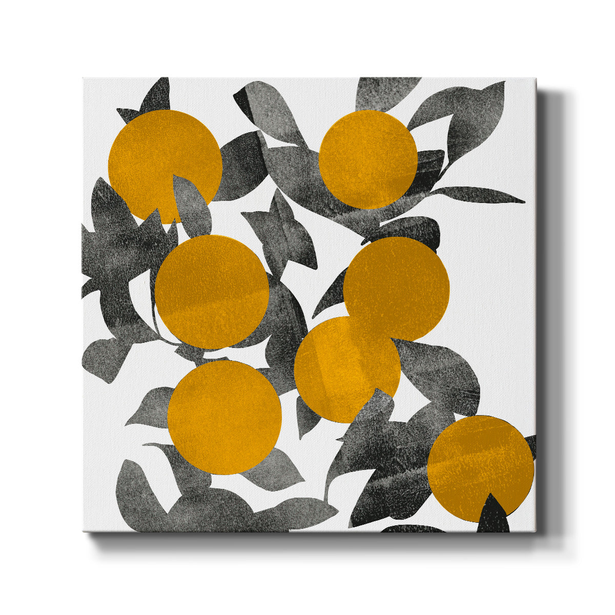 Shadow Branch I - Canvas Art Print