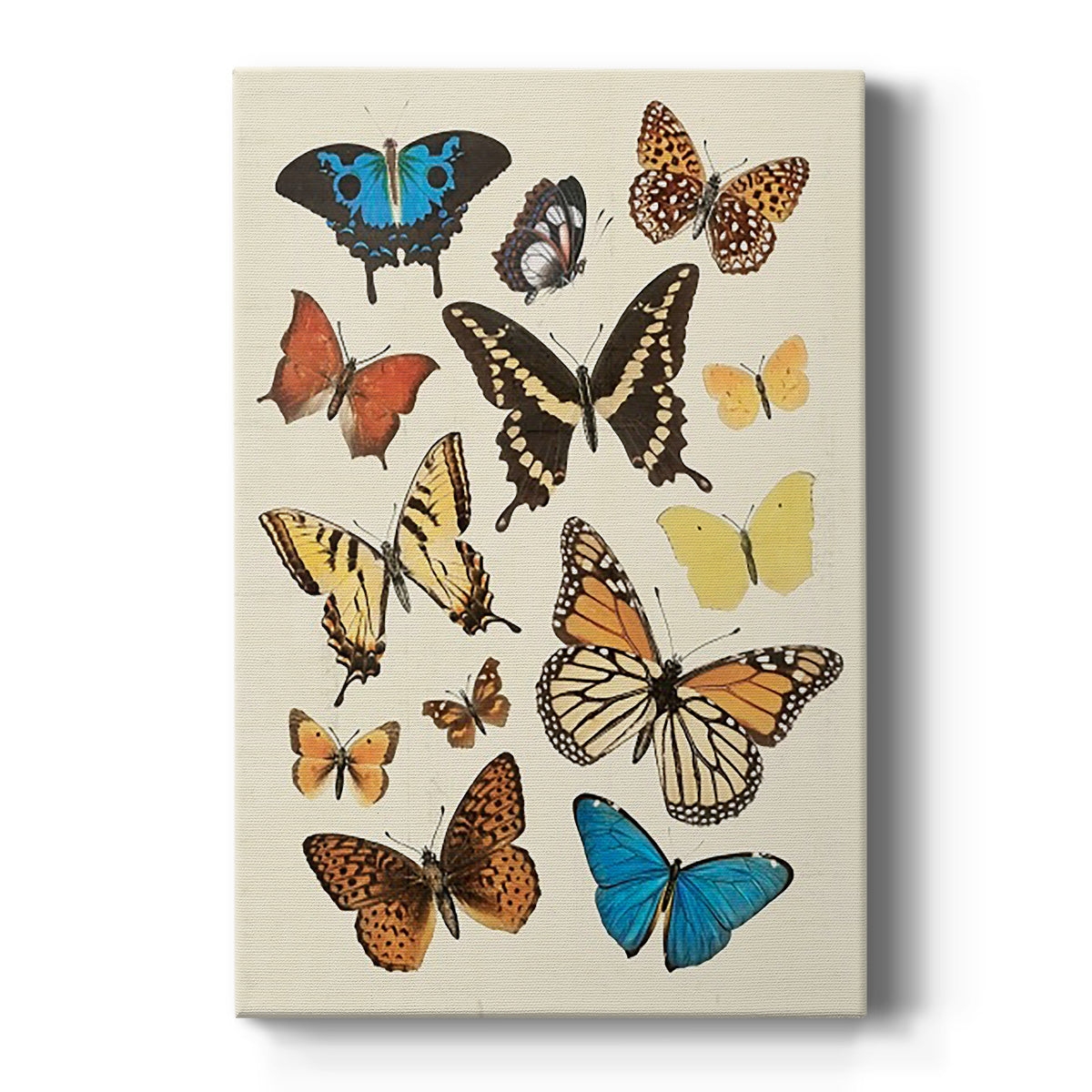 Collected Flutter II Premium Gallery Wrapped Canvas - Ready to Hang