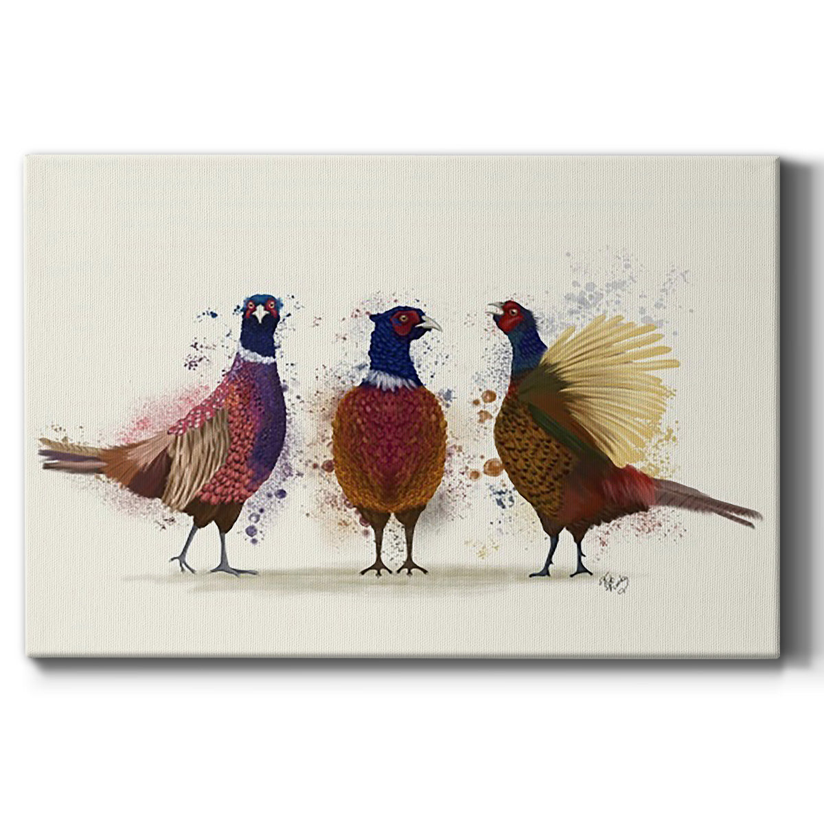 Pheasant Trio Premium Gallery Wrapped Canvas - Ready to Hang