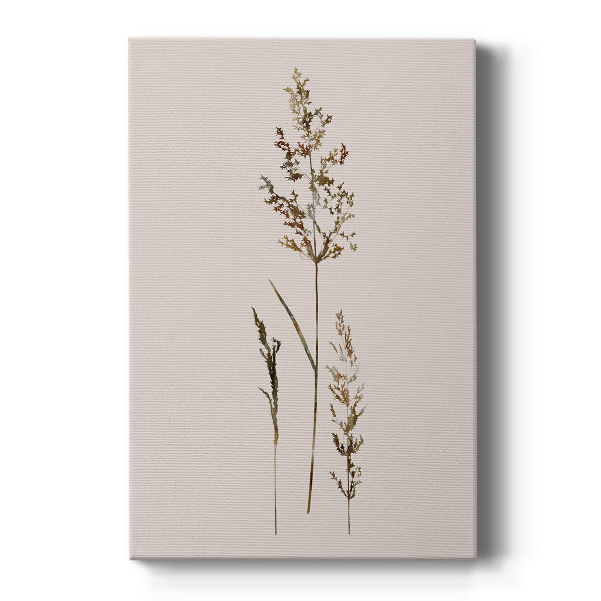 Delicate Stems II - Canvas Art Print