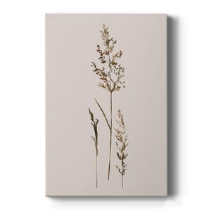 Delicate Stems II Premium Gallery Wrapped Canvas - Ready to Hang