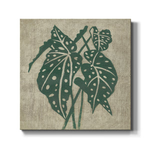 Vintage Greenery II-Premium Gallery Wrapped Canvas - Ready to Hang
