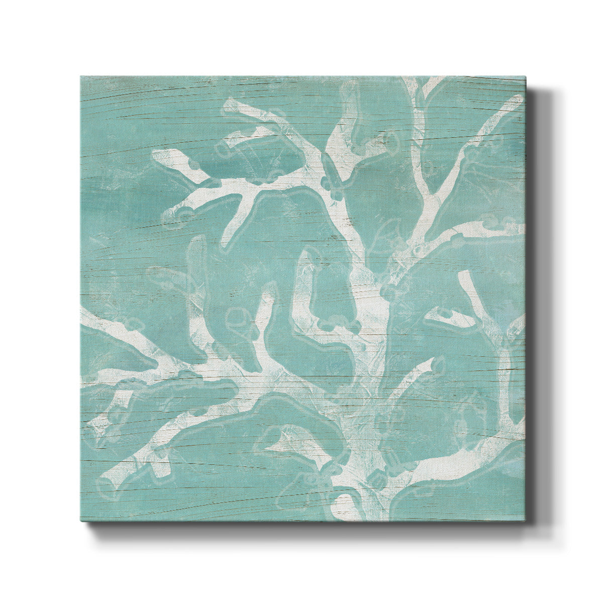 Cerulean Sea Coral IV - Canvas Art Print