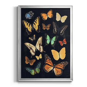 Collected Flutter III Premium Framed Print - Ready to Hang