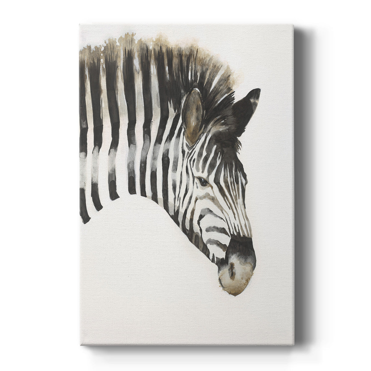 Zebra Stripes - Canvas Art Print