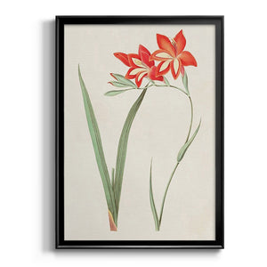 Flowers of the Seasons IV Premium Framed Print - Ready to Hang