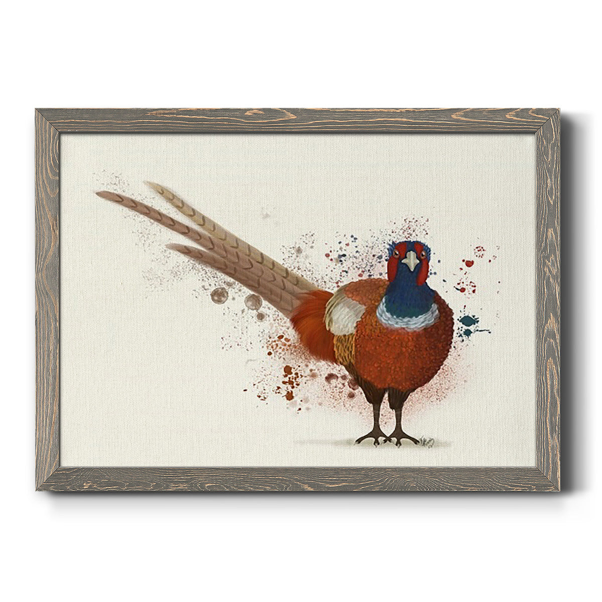 Pheasant Splash 7-Premium Framed Canvas - Ready to Hang