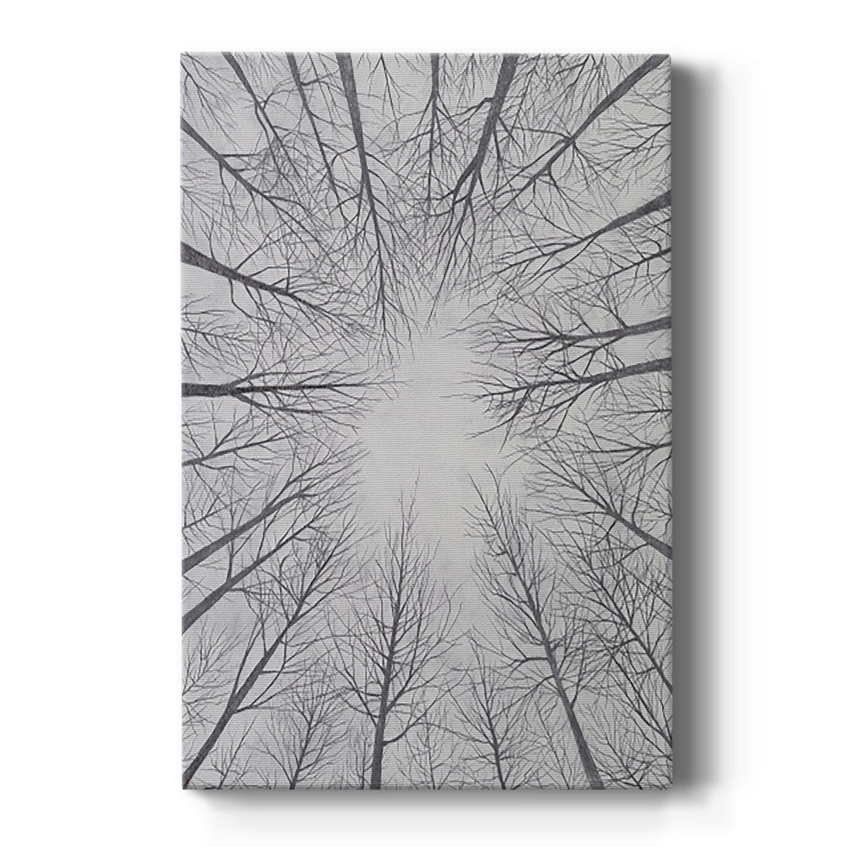 Deciduous Canopy II - Canvas Art Print