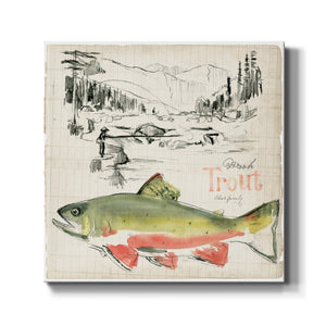 Trout Journal II-Premium Gallery Wrapped Canvas - Ready to Hang