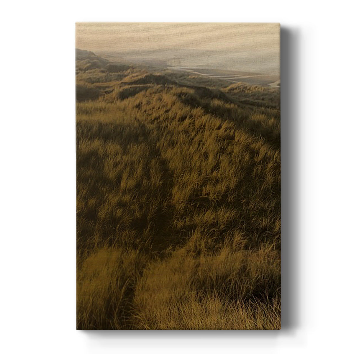 Golden Fog II - Canvas Art Print
