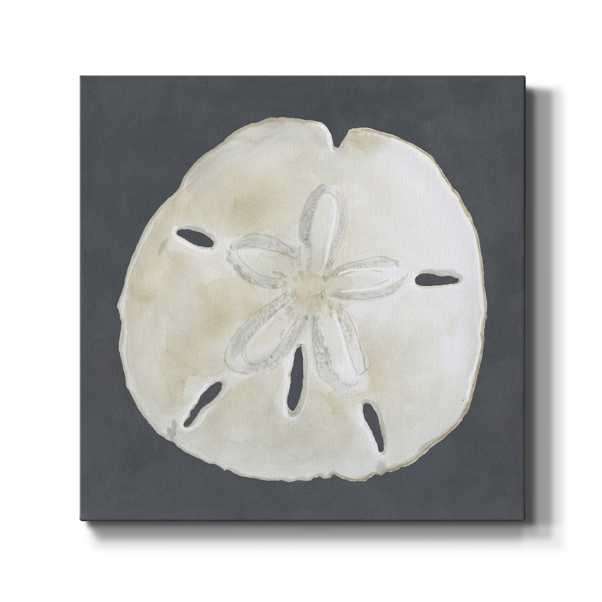 Shell on Slate II - Canvas Art Print