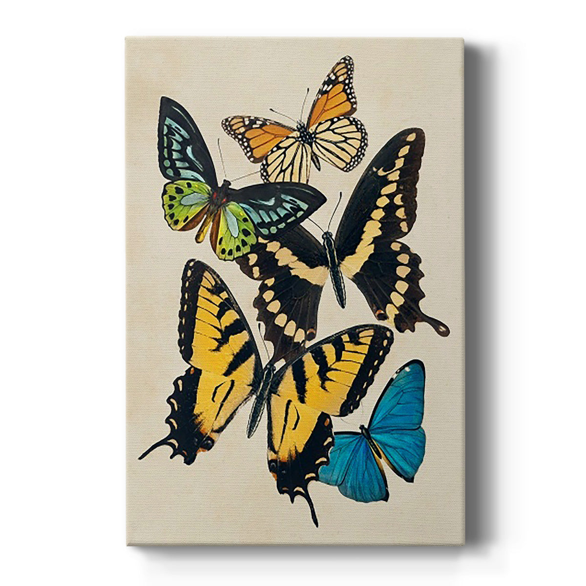 Collaged Butterflies II Premium Gallery Wrapped Canvas - Ready to Hang