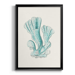 Antique Coastal Coral XI Premium Framed Print - Ready to Hang