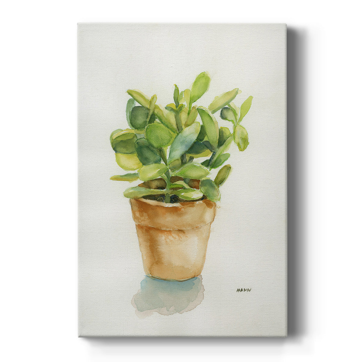 Succulent I Premium Gallery Wrapped Canvas - Ready to Hang