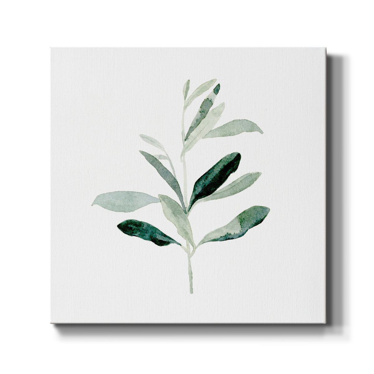 Summer Olive Branch II-Premium Gallery Wrapped Canvas - Ready to Hang