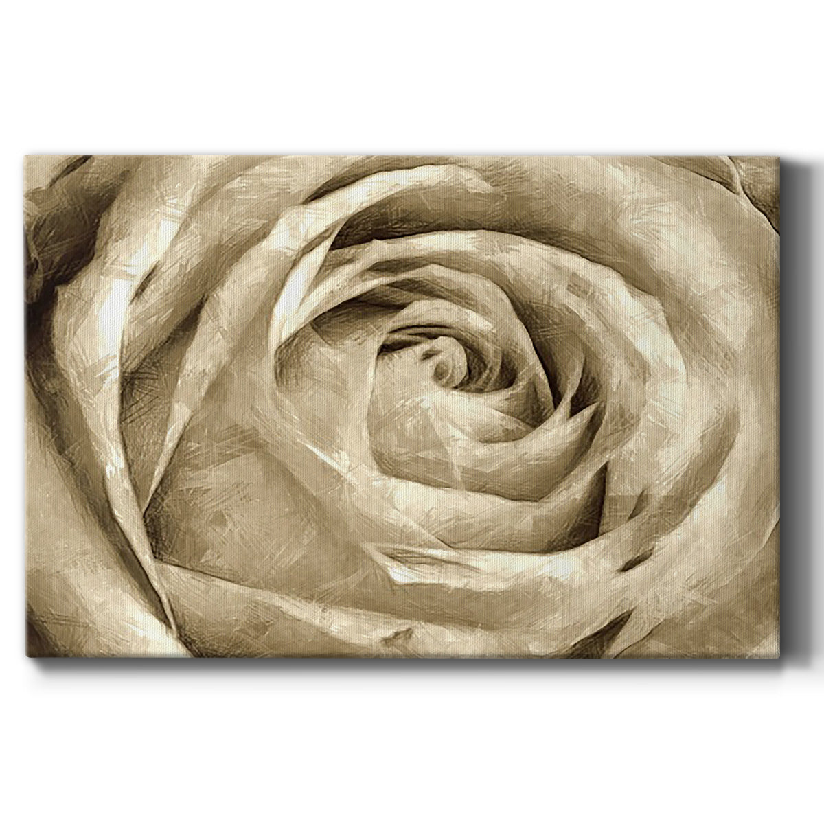Neutral Wall Flower IV Premium Gallery Wrapped Canvas - Ready to Hang