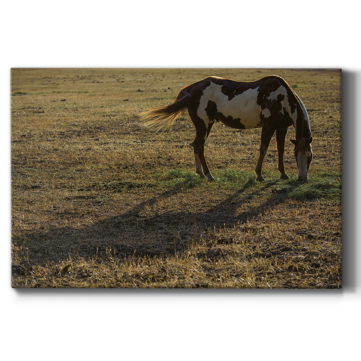 Long Shadow Premium Gallery Wrapped Canvas - Ready to Hang