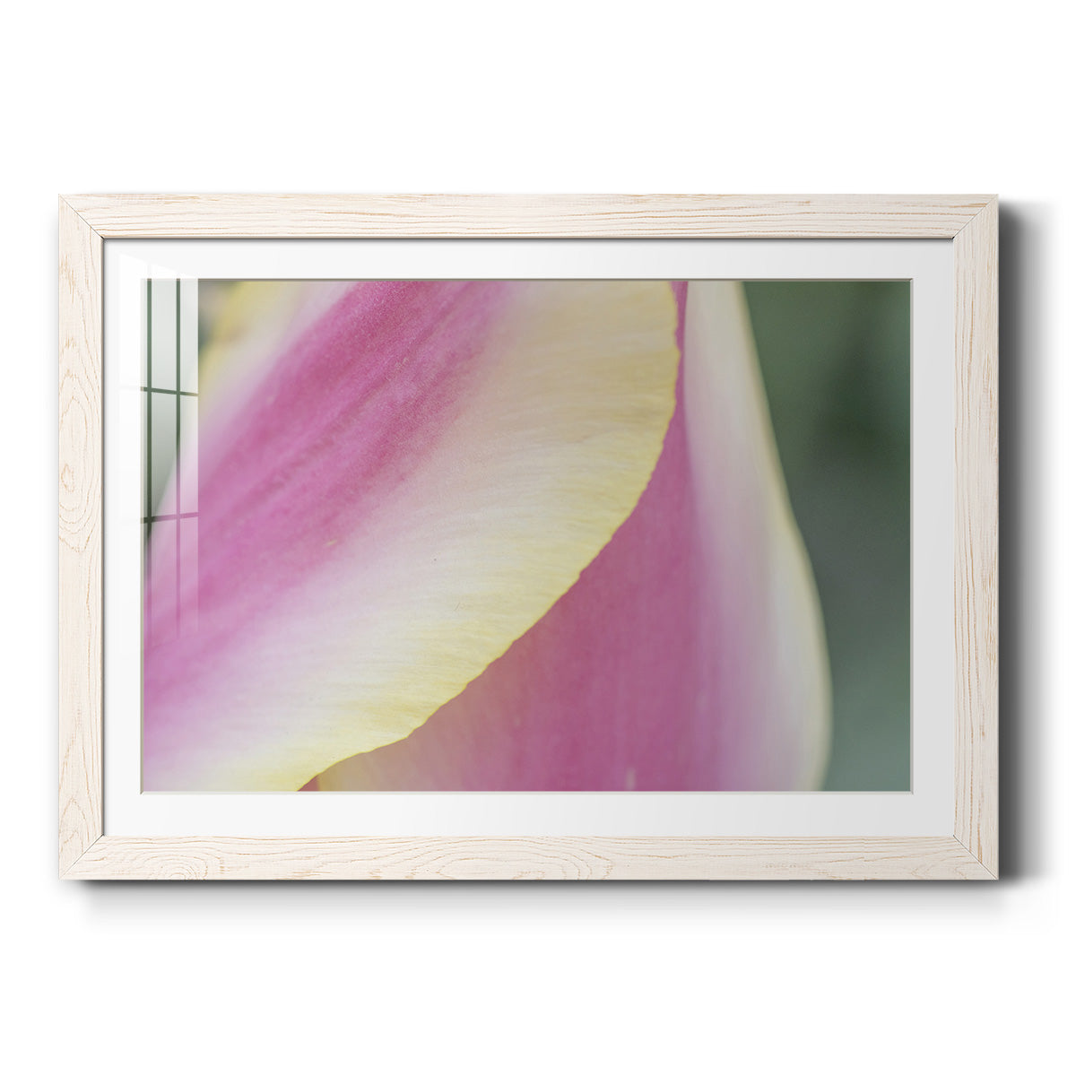Celebrate-Premium Framed Print - Ready to Hang