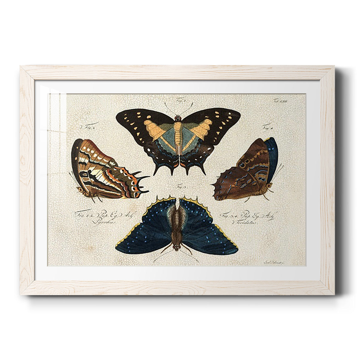 Celebrate-Premium Framed Print - Ready to Hang