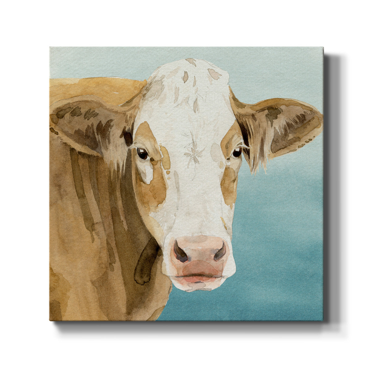 Hereford Stare I - Canvas Art Print