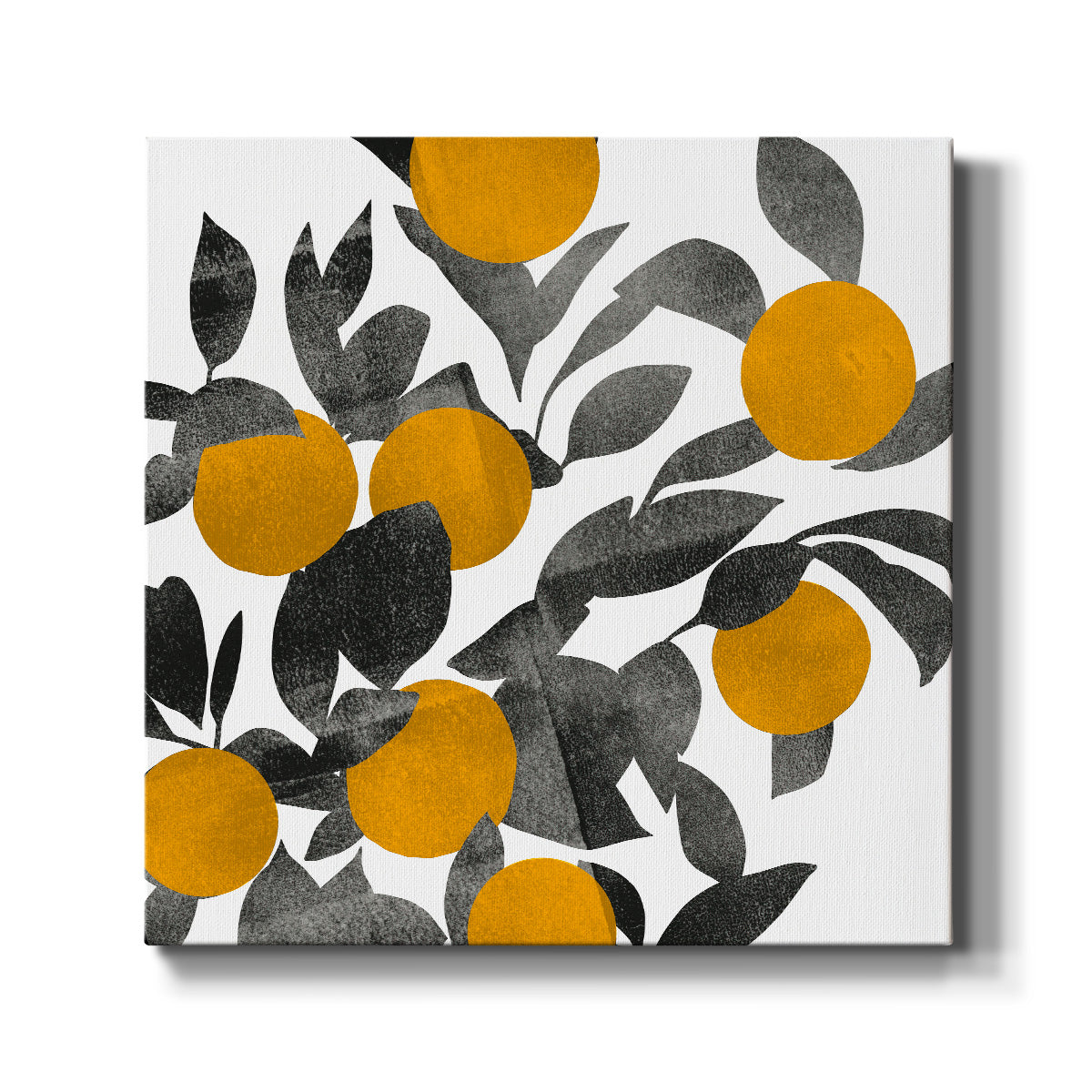 Shadow Branch III - Canvas Art Print