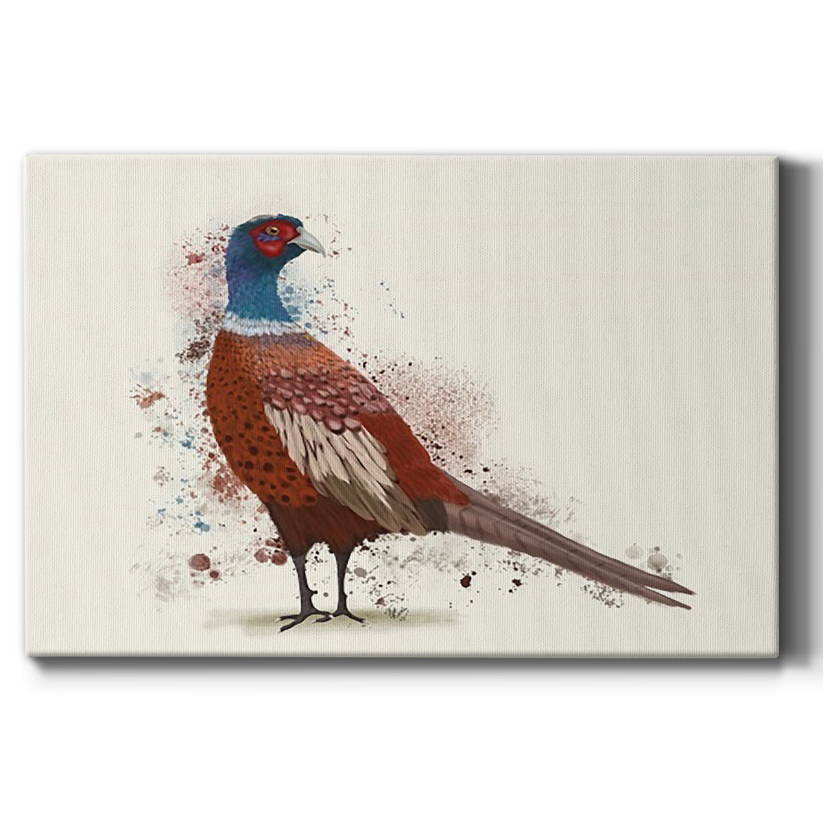 Pheasant Splash 5 Premium Gallery Wrapped Canvas - Ready to Hang