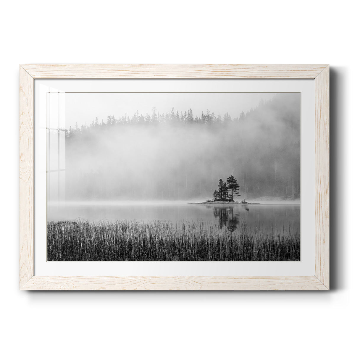 Celebrate-Premium Framed Print - Ready to Hang