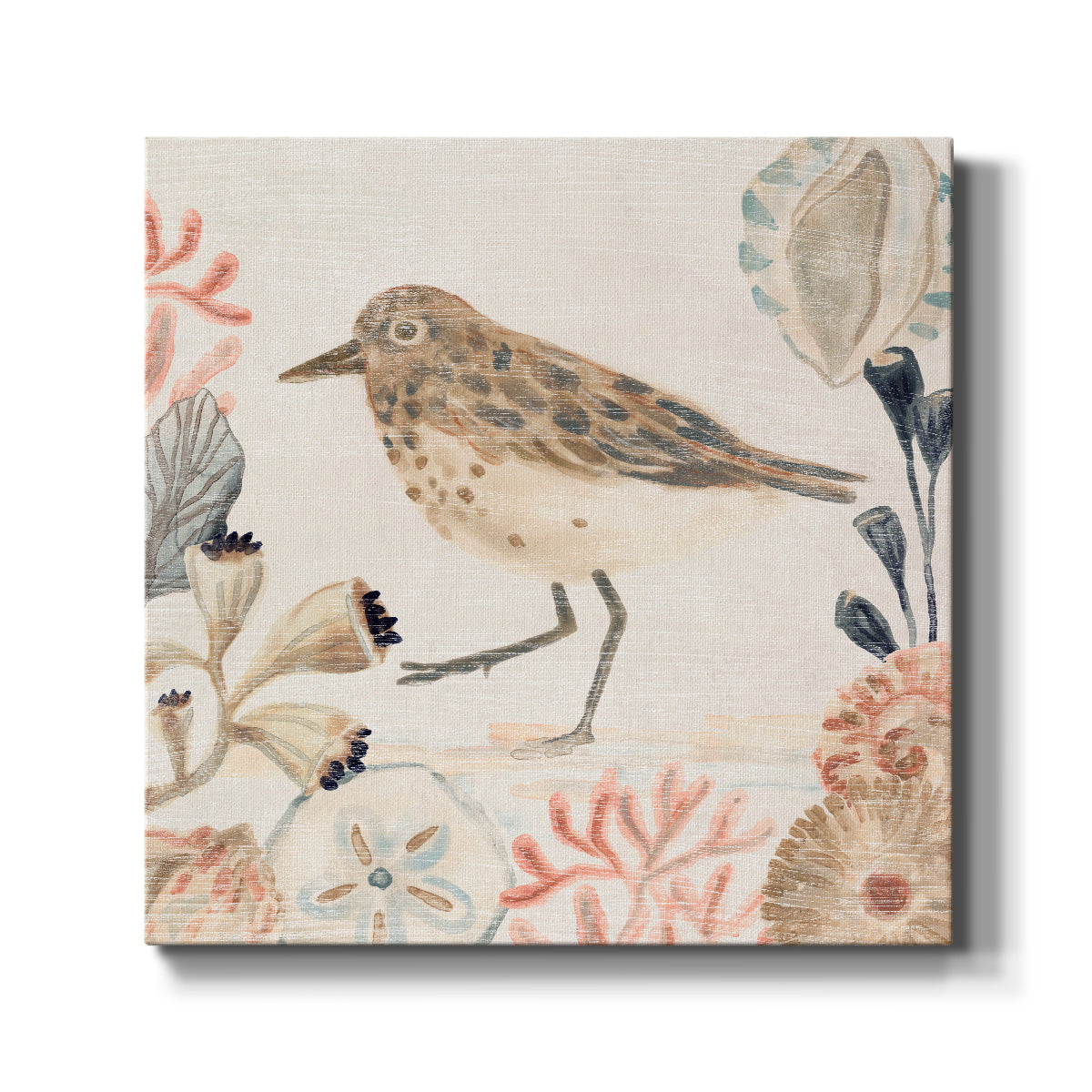 Shell Pipers II - Canvas Art Print